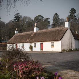 A row of whitewashed, thatched-roof cottages with red doors, sitting along a quiet street with a flower bed in the foreground and tall trees in the background.
