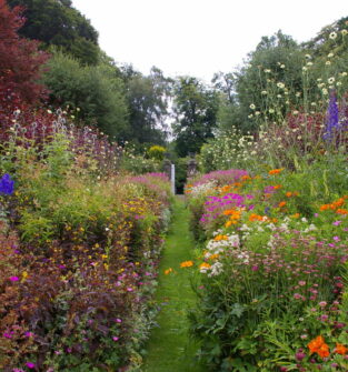 Scotland’s Gardens Scheme – Pitmuies Gardens
