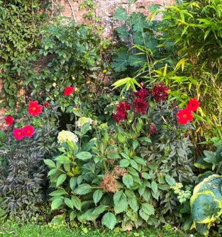 Scotland’s Gardens Scheme – Airlie Castle Gardens