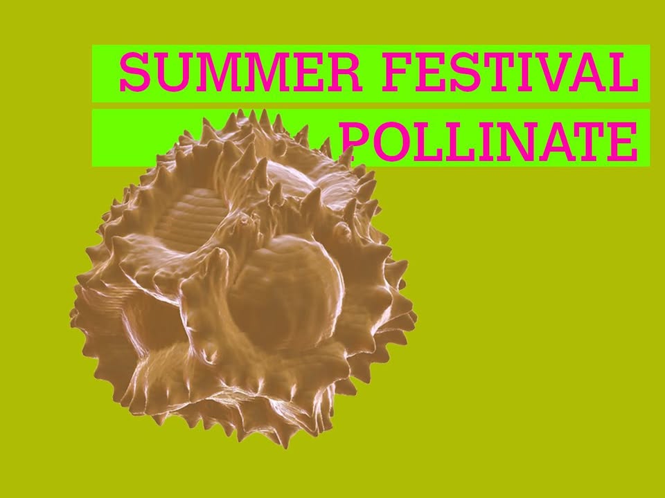 Hospitalfield Summer Festival: Pollinate