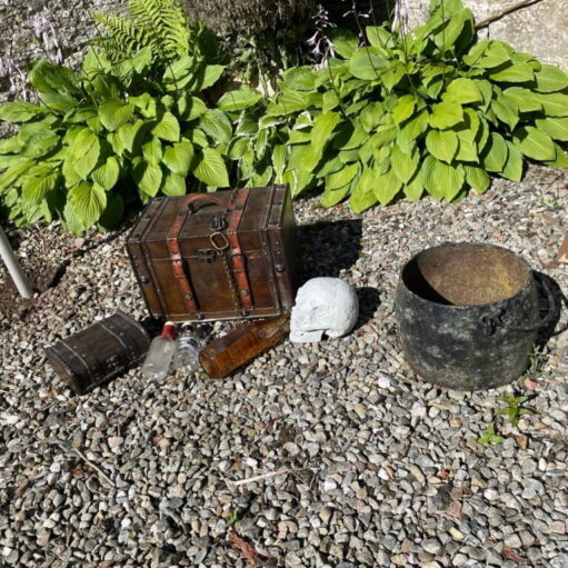 Summer Treasure Hunt at Murton Farm & Nature Reserve, Forfar