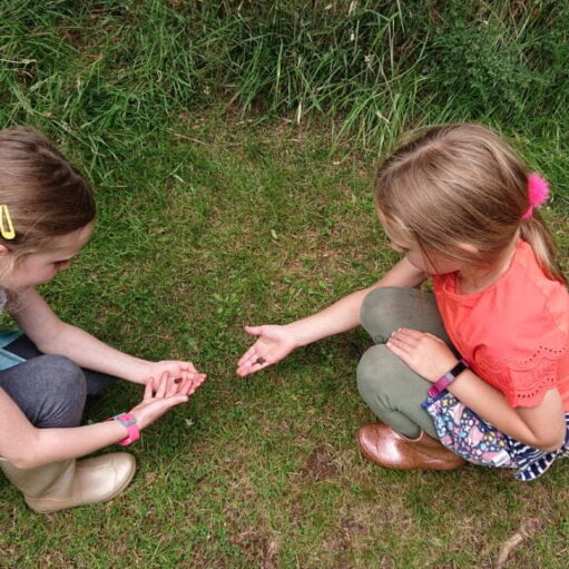 Family Day Adventures at Murton Farm & Nature Reserve, Forfar