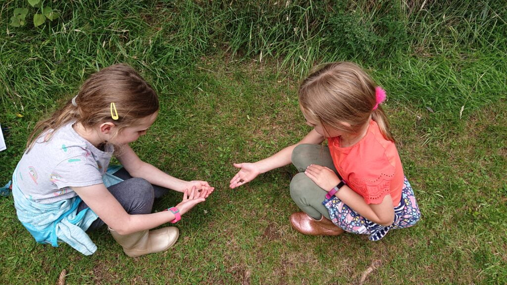 Family Day Adventures at Murton Farm & Nature Reserve, Forfar