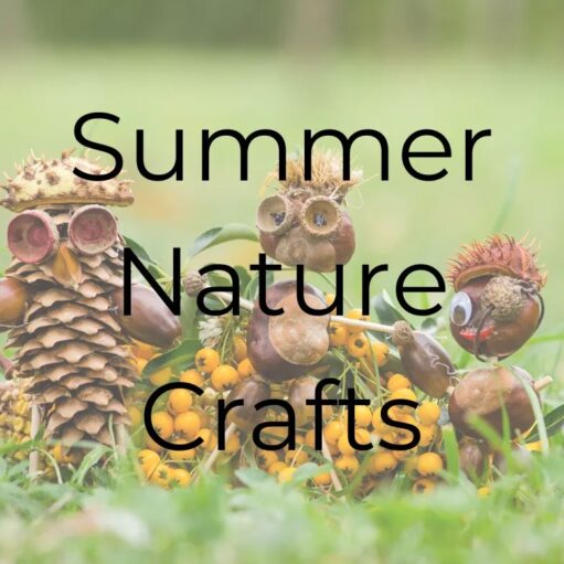 Summer Nature Crafts at Murton Farm & Nature Reserve, Forfar