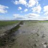Journey To The Centre Of The Mud at Montrose Basin