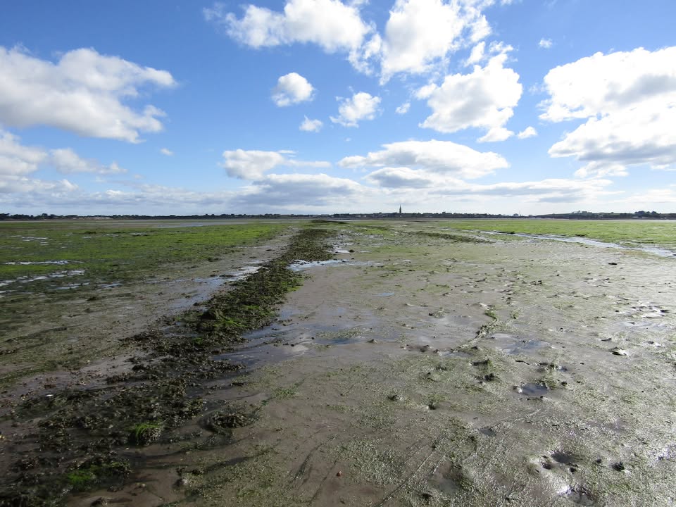 Journey To The Centre Of The Mud at Montrose Basin