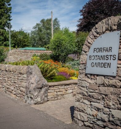 Forfar Botanists Garden