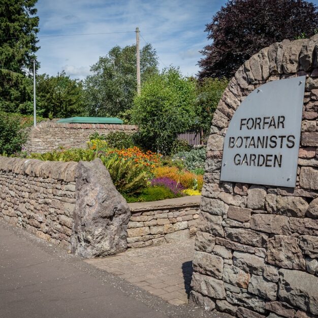 Forfar Botanists Garden