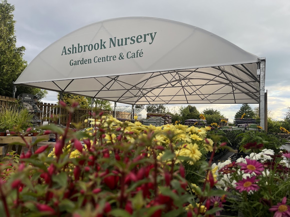 Ashbrook Nursery, Arbroath