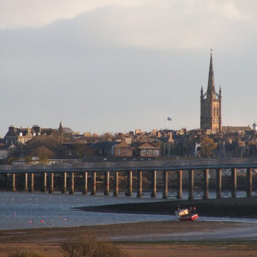 Urban Wildlife Walk with Montrose Museum and Montrose Basin