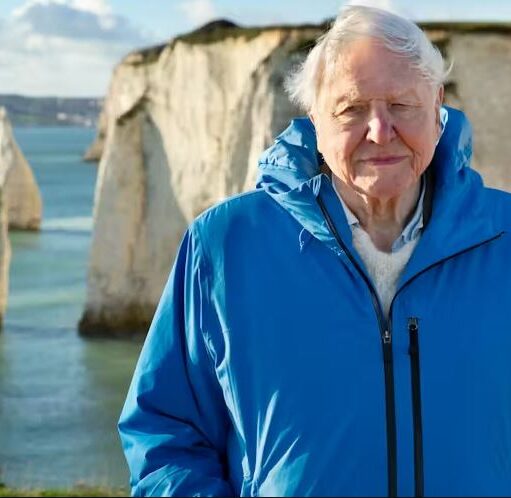 Sir David Attenborough stands in the foreground, wearing a bright blue hooded jacket over a light-colored sweater. He is looking toward the camera with a gentle expression. Behind him is a scenic coastal view of the Old Harry Rocks in Dorset, featuring towering white chalk cliffs and sea stacks rising out of the calm, turquoise water under a soft, daylight sky.
