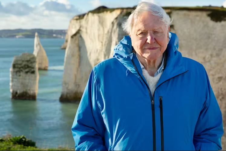 Sir David Attenborough stands in the foreground, wearing a bright blue hooded jacket over a light-colored sweater. He is looking toward the camera with a gentle expression. Behind him is a scenic coastal view of the Old Harry Rocks in Dorset, featuring towering white chalk cliffs and sea stacks rising out of the calm, turquoise water under a soft, daylight sky.