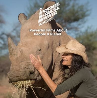 A photo featuring a smiling woman in a cowboy hat gently petting a large rhinoceros that is eating hay. Overlay text promotes the Montrose LandxSea Filmfest Monthly with the tagline, "Powerful Films About People & Planet."