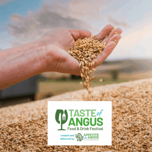 Taste of Angus Festival