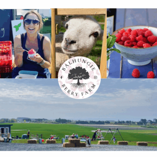 Balhungie Berry Farm Mini Market