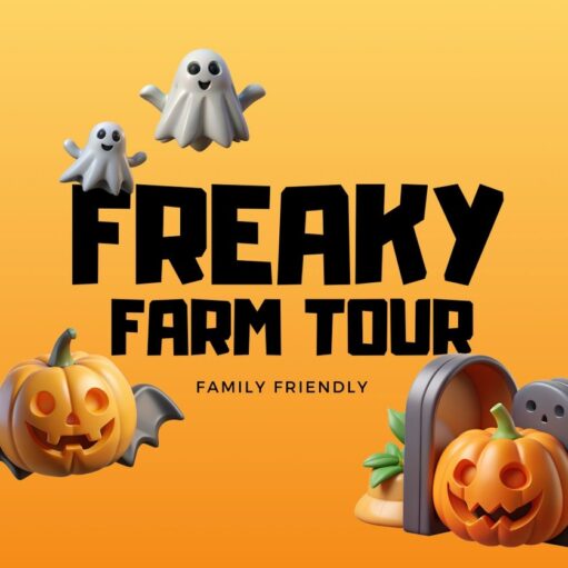 A Halloween-themed graphic on an orange and yellow gradient background. The text "FREAKY FARM TOUR" is in large, bold, black letters. Below that, in a smaller font, it says "FAMILY FRIENDLY." Around the text are 3D-rendered Halloween figures. In the top left, two playful white ghosts are floating. In the bottom left, a glowing jack-o'-lantern with bat wings is flying. In the bottom right, another jack-o'-lantern is placed next to a tombstone and a planter.