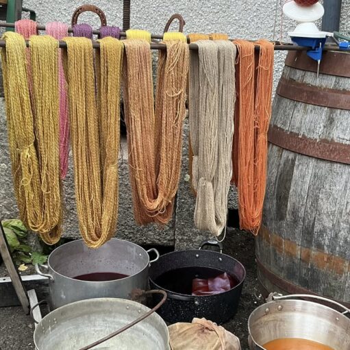 A collection of skeins of yarn in various natural dye colors—including yellows, golds, pinks, light browns, and oranges—hanging from a metal rack. Below the rack are several large metal pots containing dark and light-colored dye liquids, and a cloth bundle is resting between two of the pots. A wooden barrel stands on the right.