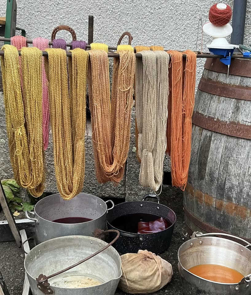 A collection of skeins of yarn in various natural dye colors—including yellows, golds, pinks, light browns, and oranges—hanging from a metal rack. Below the rack are several large metal pots containing dark and light-colored dye liquids, and a cloth bundle is resting between two of the pots. A wooden barrel stands on the right.