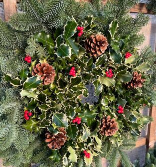 A close-up of a festive Christmas wreath made of variegated holly leaves and decorated with several pine cones and bright red berries. The holly wreath is mounted on a larger ring of dark green fir branches and set against a wooden background.