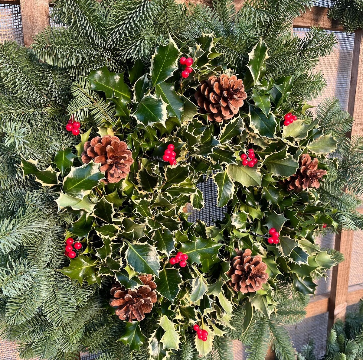 A close-up of a festive Christmas wreath made of variegated holly leaves and decorated with several pine cones and bright red berries. The holly wreath is mounted on a larger ring of dark green fir branches and set against a wooden background.
