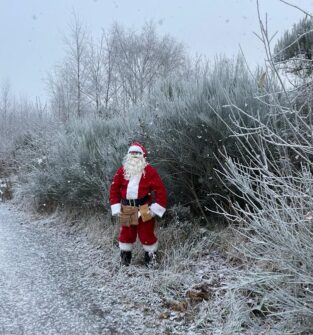 Person dressed as Santa Claus standing on a snowy path surrounded by frost-covered bushes and trees during a light snowfall in a winter landscape.