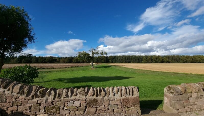 A panoramic outdoor view over a low, dry stone wall of a green field, a harvested field, and a dark forest line under a bright blue sky with white clouds.