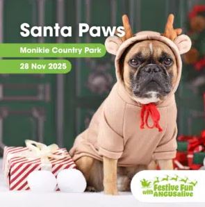 A promotional image for a "Santa Paws" event at Monikie Country Park, featuring a French Bulldog wearing a tan reindeer costume with antlers and sitting next to a wrapped present and two white snowballs against a blurred green holiday background.
