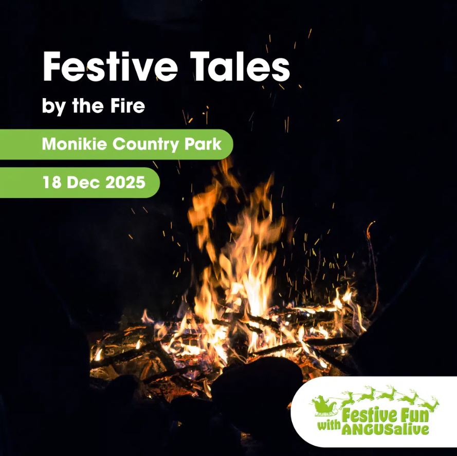 A promotional image for "Festive Tales by the Fire" featuring a bright, crackling campfire with sparks rising into a dark night sky, with event text overlaid on a black background.