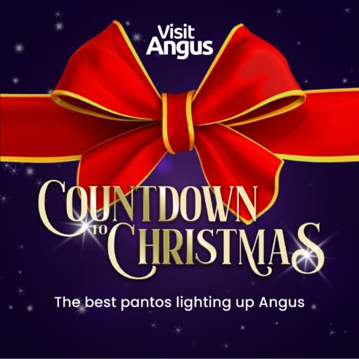 A graphic for "Visit Angus" advertising Christmas pantomimes. The image features a large, realistic red bow with a gold trim against a dark purple, starry background. The text reads: "COUNTDOWN TO CHRISTMAS" in large gold script, with a smaller line below saying: "The best pantos lighting up Angus."