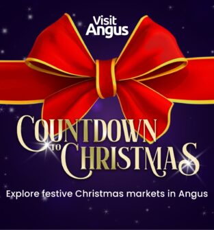 A graphic for "Visit Angus" advertising Christmas markets. The image features a large, realistic red bow with a gold trim against a dark purple, starry background. The text reads: "COUNTDOWN TO CHRISTMAS" in large gold script, with a smaller line below saying: "Explore festive Christmas markets in Angus."