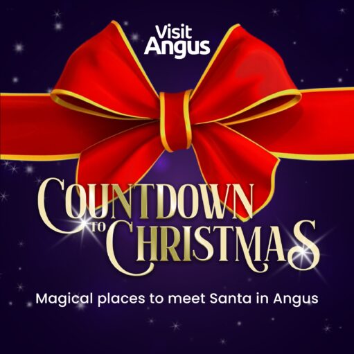 A graphic for "Visit Angus" advertising places to meet Santa. The image features a large, realistic red bow with a gold trim against a dark purple, starry background. The text reads: "COUNTDOWN TO CHRISTMAS" in large gold script, with a smaller line below saying: "Magical places to meet Santa in Angus."