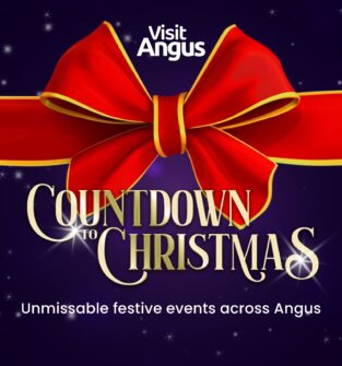 A graphic for "Visit Angus" advertising festive events. The image features a large, realistic red bow with a gold trim against a dark purple, starry background. The text reads: "COUNTDOWN TO CHRISTMAS" in large gold script, with a smaller line below saying: "Unmissable festive events across Angus."