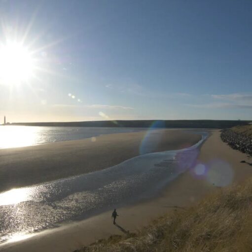 A wide-angle landscape photo of a sunny beach scene with a bright sunburst in the upper left. A small figure walks along the wet sand where a stream meets the sea. There are tall grassy dunes on the right and a distant lighthouse on the horizon over the water.