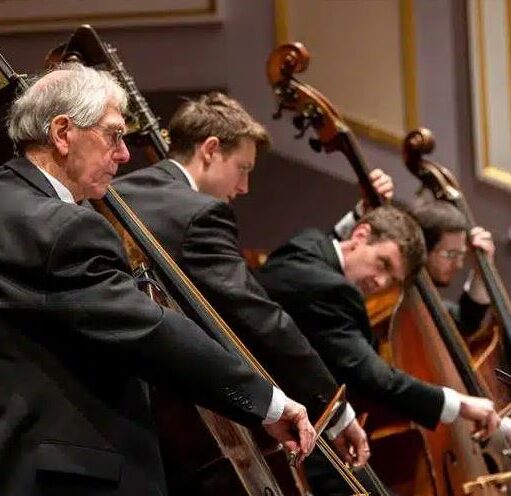 A line of four double bass players performing in an orchestra. The musicians are dressed in formal black suits and are captured in profile, focused on their instruments during a performance in a concert hall.