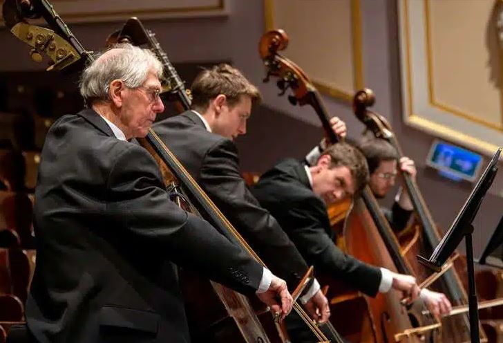 A line of four double bass players performing in an orchestra. The musicians are dressed in formal black suits and are captured in profile, focused on their instruments during a performance in a concert hall.