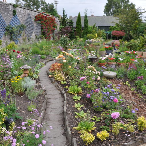 A vibrant, overflowing walled garden featuring a narrow, winding stone path made of circular pavers. The garden is filled with a variety of colorful flowers including purple lupines, pink roses, and yellow wildflowers, interspersed with potted plants and garden ornaments. A tall stone wall on the left is decorated with blue diamond-shaped trellises and climbing red roses.