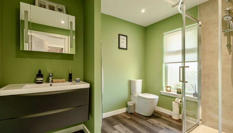 A bright bathroom with sage green walls, a white sink vanity, and a walk-in glass shower.