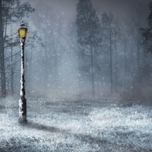 A snow-covered Victorian streetlamp glows with a warm yellow light in a misty, wintry forest during a snowfall.