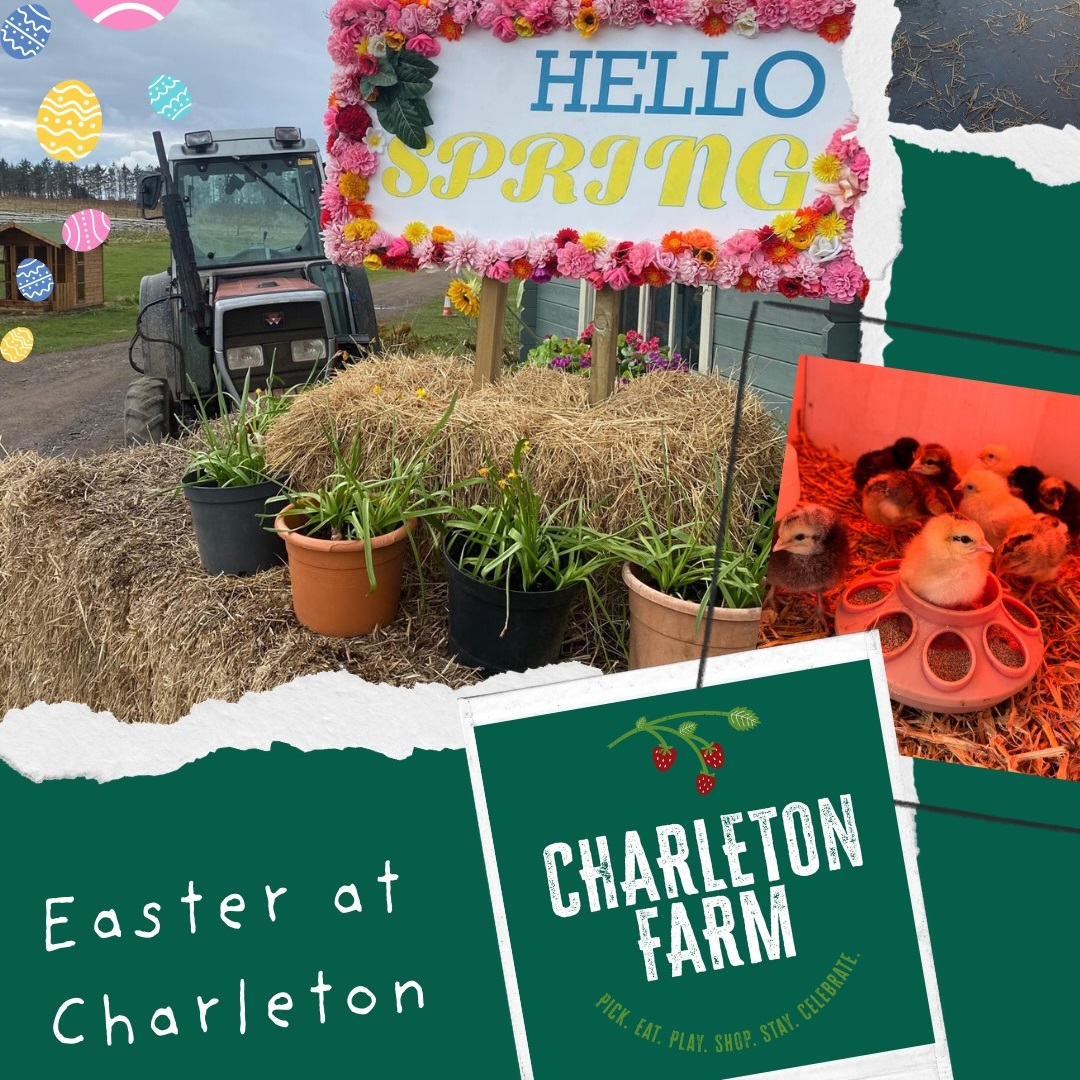 A promotional collage for "Easter at Charleton Farm" featuring a rustic spring display with a tractor, potted plants on hay bales, and a flower-bordered "Hello Spring" sign. Smaller photos show baby chicks under a heat lamp, while the bottom section displays the farm's green logo.