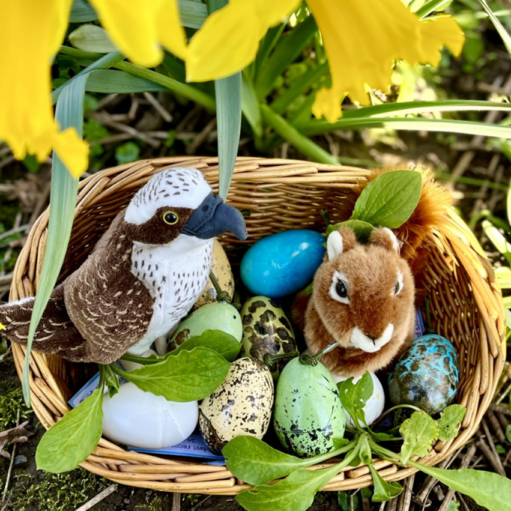 A wicker basket sits nestled among bright yellow daffodils and green leaves on the ground. Inside the basket are several colorful, speckled Easter eggs, along with a small plush hawk and a plush squirrel.