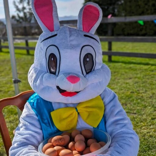 A person in a light blue and white Easter Bunny costume, complete with a large yellow bowtie, sits outdoors holding a clear bowl filled with brown eggs. The background shows a green field and a wooden fence under a bright sky.
