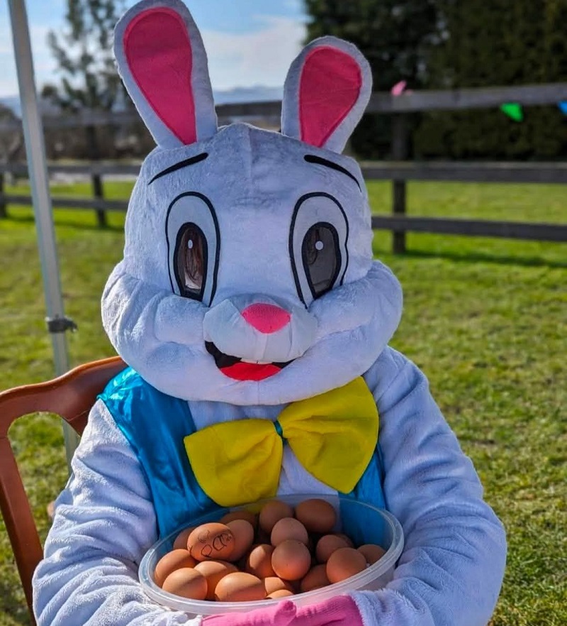 A person in a light blue and white Easter Bunny costume, complete with a large yellow bowtie, sits outdoors holding a clear bowl filled with brown eggs. The background shows a green field and a wooden fence under a bright sky.