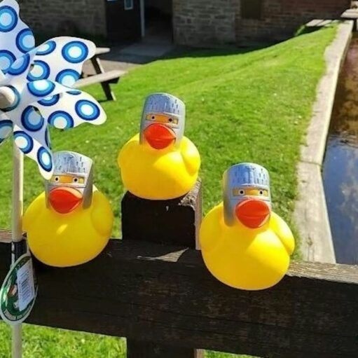 Three yellow rubber ducks wearing small silver knight helmets sit atop a wooden fence. A blue and white patterned pinwheel stands to the left, with a grassy bank and a narrow waterway in the background.