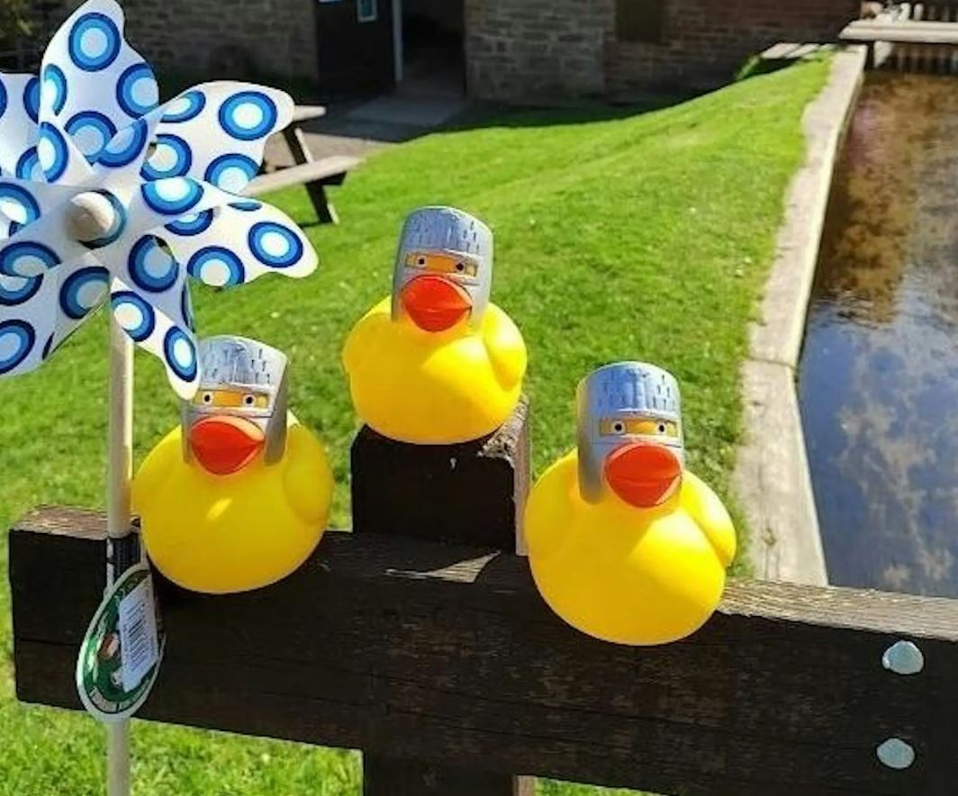 Three yellow rubber ducks wearing small silver knight helmets sit atop a wooden fence. A blue and white patterned pinwheel stands to the left, with a grassy bank and a narrow waterway in the background.