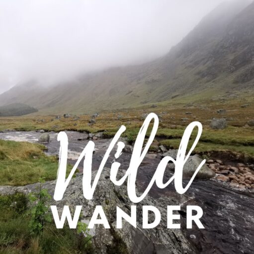 A scenic landscape featuring a rocky stream flowing through a grassy valley toward a mist-covered mountain. White stylized text overlaid in the foreground reads "Wild WANDER," with "Wild" in a flowing script and "WANDER" in a bold, sans-serif font.