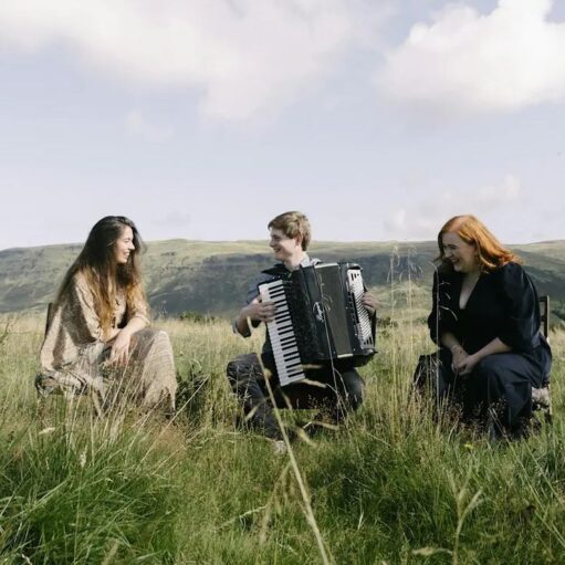 Three musicians sitting in a tall, grassy field with rolling green hills and a bright sky in the background. In the center, a young man plays a large black accordion, smiling toward a woman on the left who wears a long patterned dress. On the right, a woman with long red hair wearing a dark dress laughs, enjoying the performance.