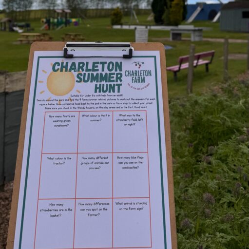 Clipboard displaying a “Charleton Summer Hunt” activity sheet in a farm park, with playground equipment, benches, and grassy outdoor areas visible in the background.