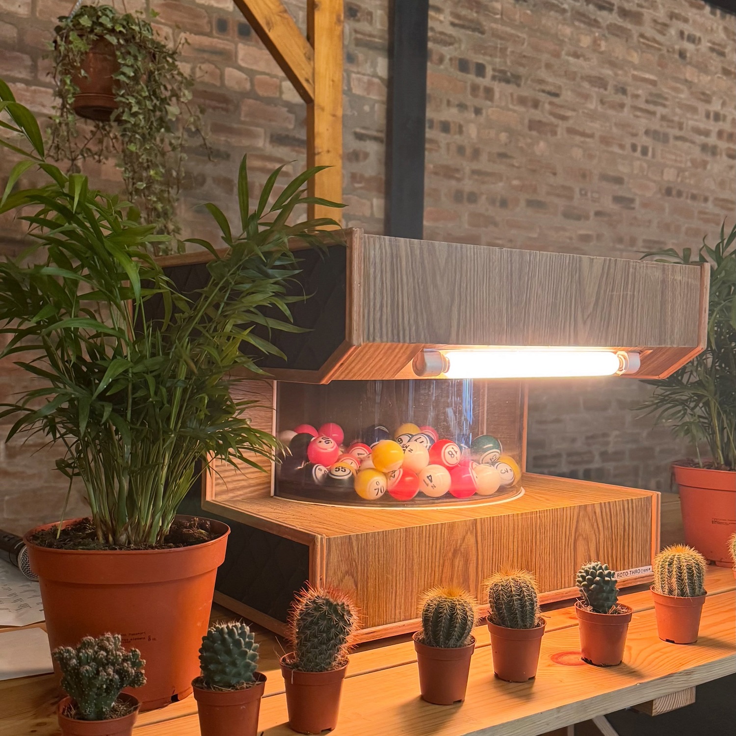 Wooden tabletop display with a lit bingo-style drum filled with colorful numbered balls, surrounded by small potted cacti and leafy plants against a brick wall.