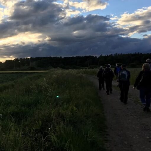 Group of people walking along a rural path at sunset, with grassy fields and a cloudy evening sky in the background.