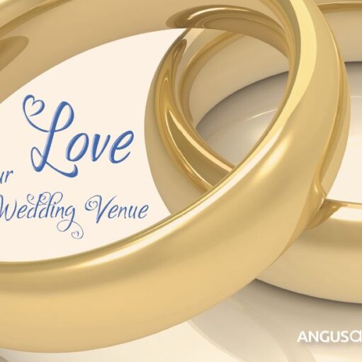 Promotional graphic for a wedding venue featuring two large interlocking gold wedding rings on a cream background, with the text “Love Your Wedding Venue” in blue script and the Angus Alive logo in the corner.